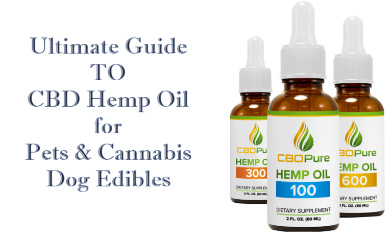 CBD Hemp Oil: Safe, Effective Relief for Pets' Health