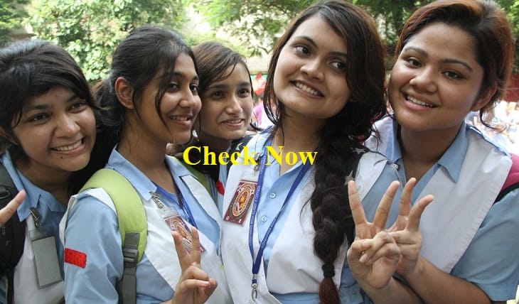 SSC Result 2020: Check Results Online and via SMS