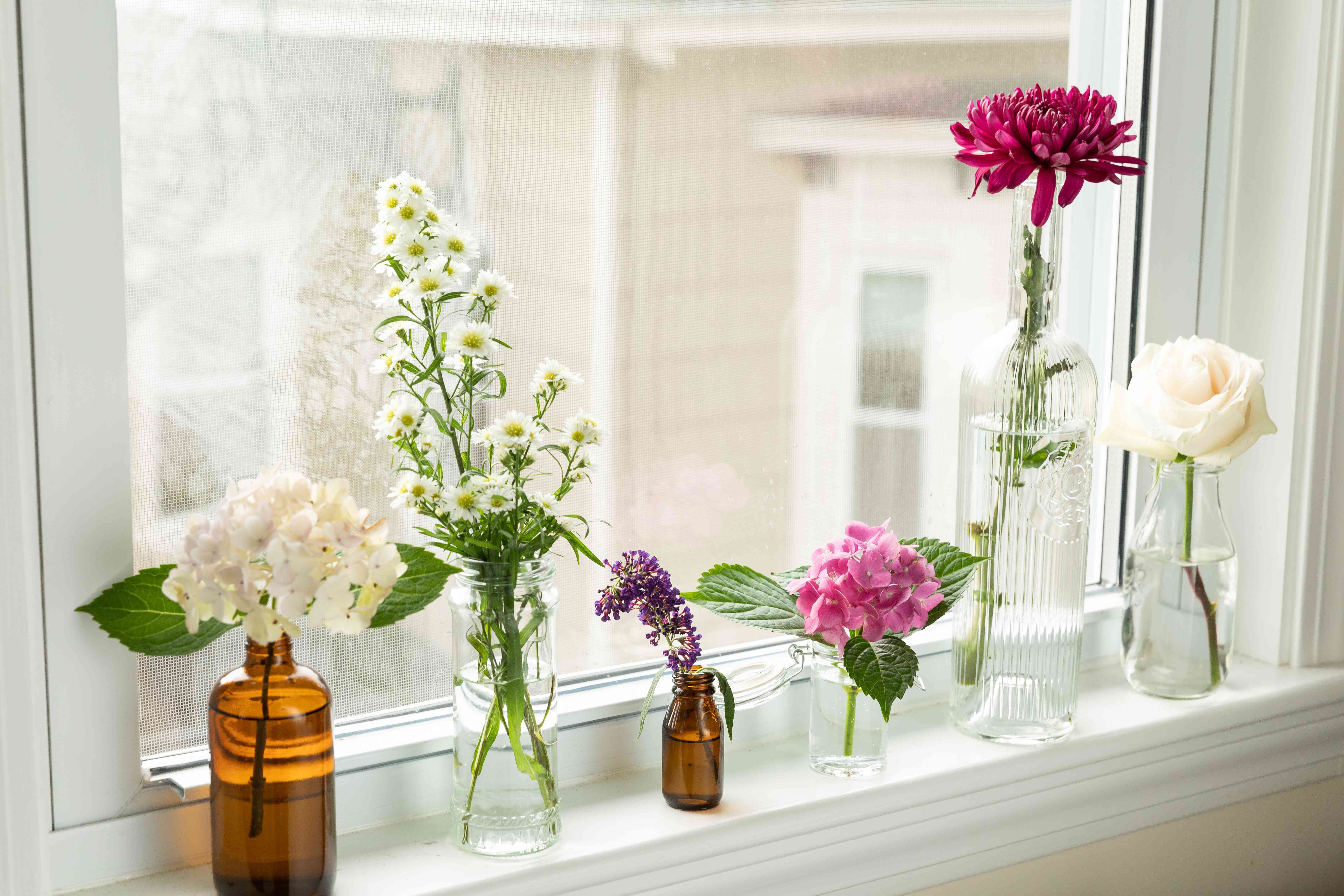 Can grow flowering plants from cuttings?