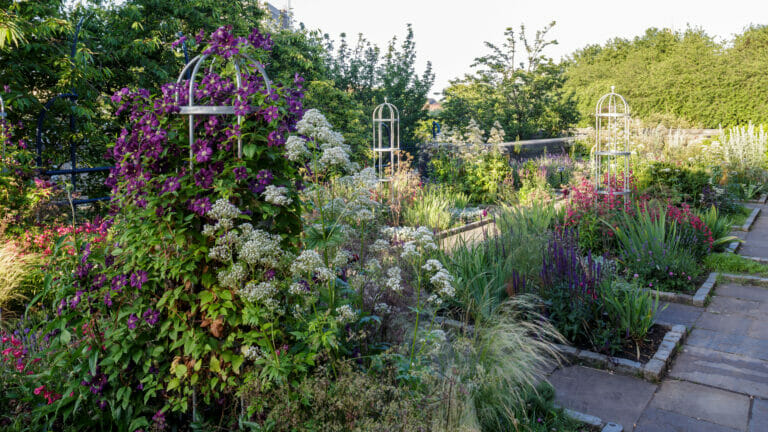 Design a Perennial Sensory Garden: Step-by-Step Guide