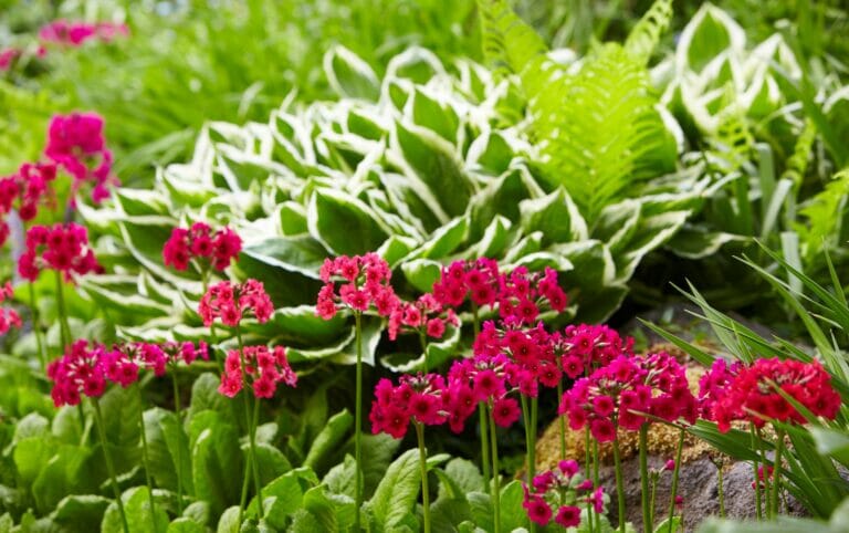 Cultivate a Greener Future with Sustainable Gardening Practices